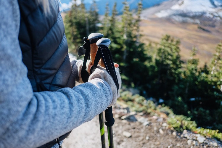 cascade mountain tech 3k carbon fiber trekking poles